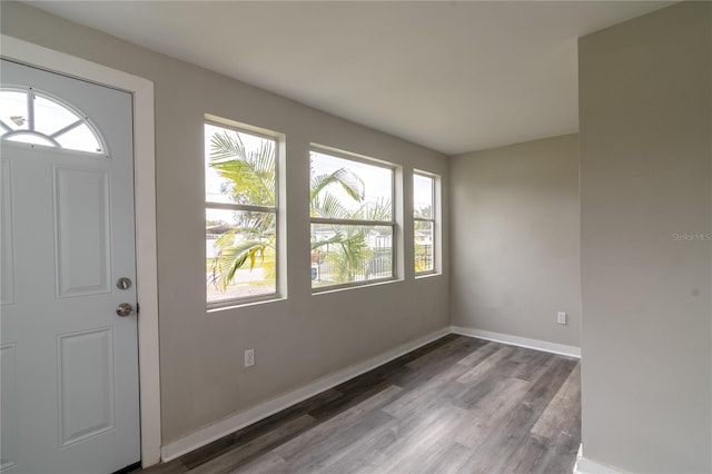 entrance foyer featuring hardwood / wood-style floors and a healthy amount of sunlight