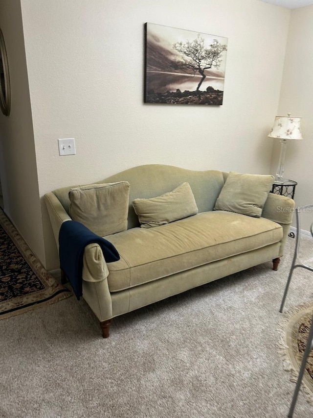 living room with carpet floors