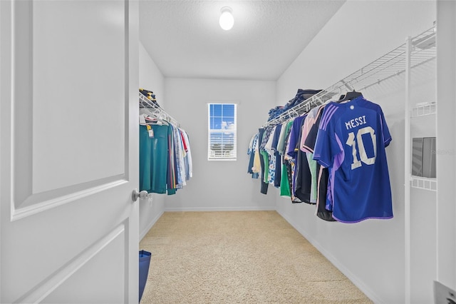 spacious closet featuring carpet flooring