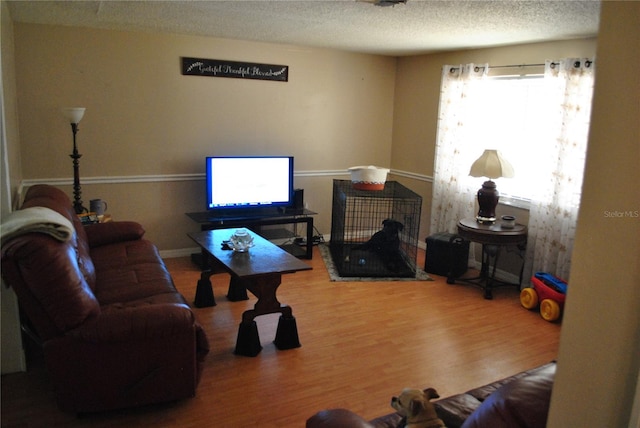 living room with a textured ceiling and hardwood / wood-style floors