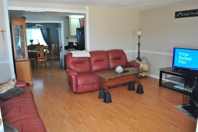 living room with a textured ceiling and hardwood / wood-style flooring