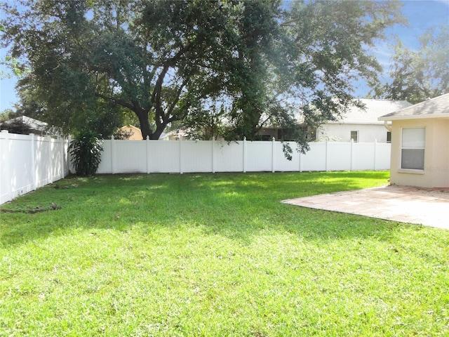 view of yard featuring a patio area