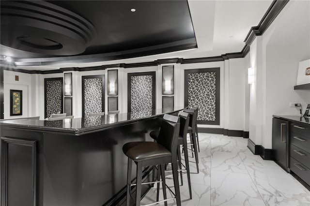 kitchen featuring ornamental molding, a kitchen breakfast bar, a tray ceiling, and dark stone counters