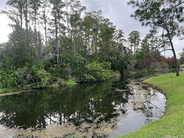 view of water feature