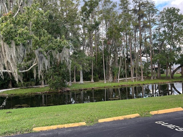 view of community featuring a lawn and a water view