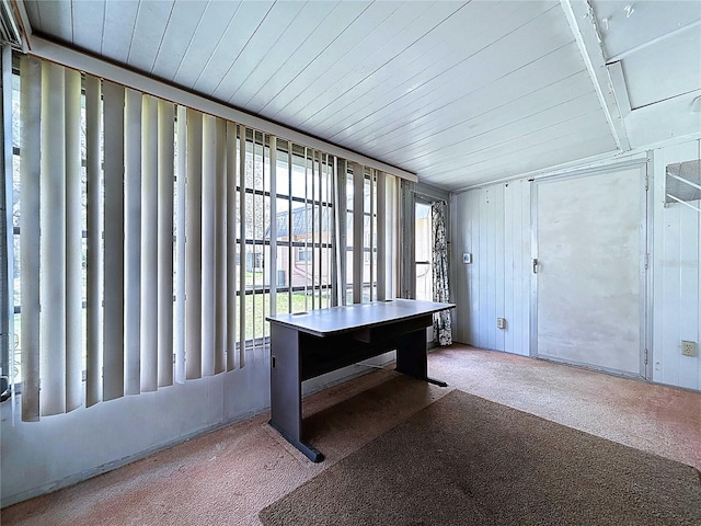 11920 Boynton Ln Unit 11920, New Port Richey, FL 34654 - carpeted office with wood ceiling