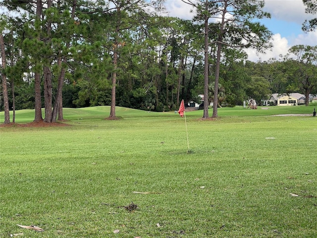 11920 Boynton Ln Unit 11920, New Port Richey, FL 34654 - view of property's community featuring a lawn