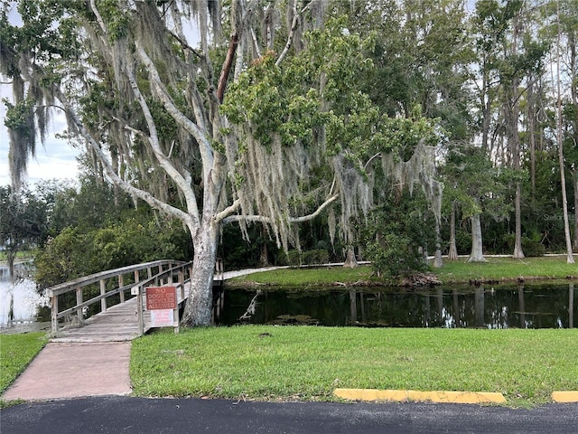 11920 Boynton Ln Unit 11920, New Port Richey, FL 34654 - view of community featuring a lawn and a water view