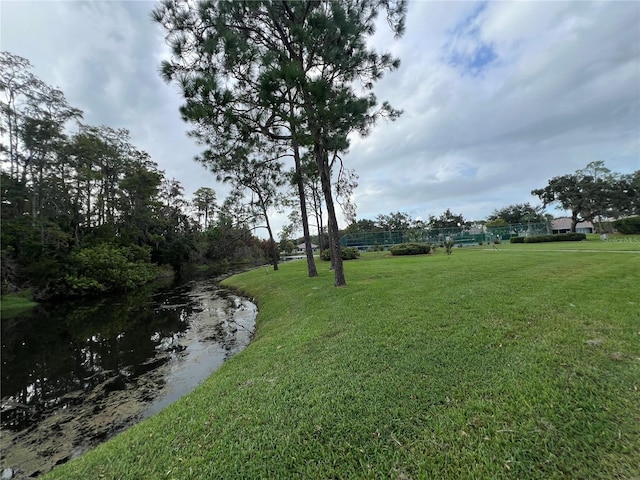 11920 Boynton Ln Unit 11920, New Port Richey, FL 34654 - view of yard