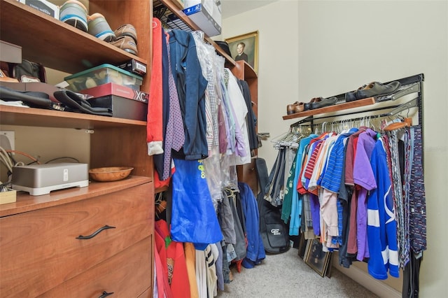 spacious closet with light carpet