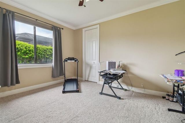 exercise room featuring carpet floors, crown molding, and ceiling fan