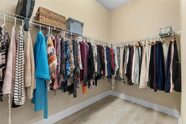 spacious closet featuring hardwood / wood-style floors