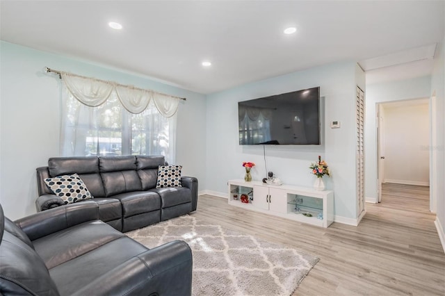 living room featuring wood-type flooring