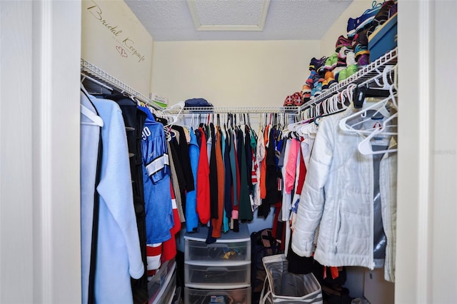 view of walk in closet