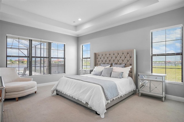 carpeted bedroom with a raised ceiling