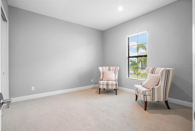 sitting room with carpet flooring