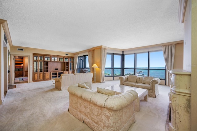 living room featuring light carpet and a textured ceiling