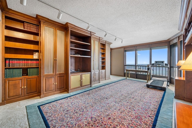 carpeted living room with a textured ceiling and rail lighting