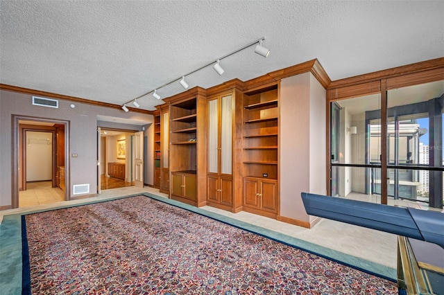 interior space featuring light carpet, a textured ceiling, and ornamental molding