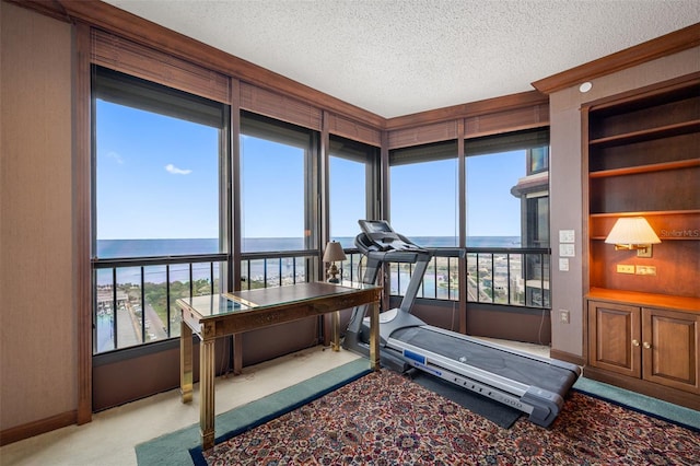 exercise area featuring light colored carpet, a textured ceiling, a water view, and a healthy amount of sunlight