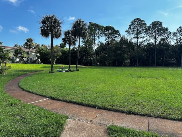 view of community with a lawn