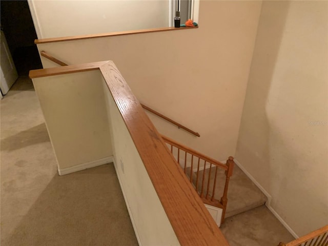 staircase with carpet floors