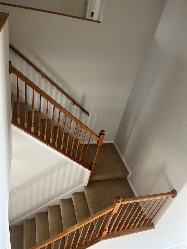 staircase with carpet flooring