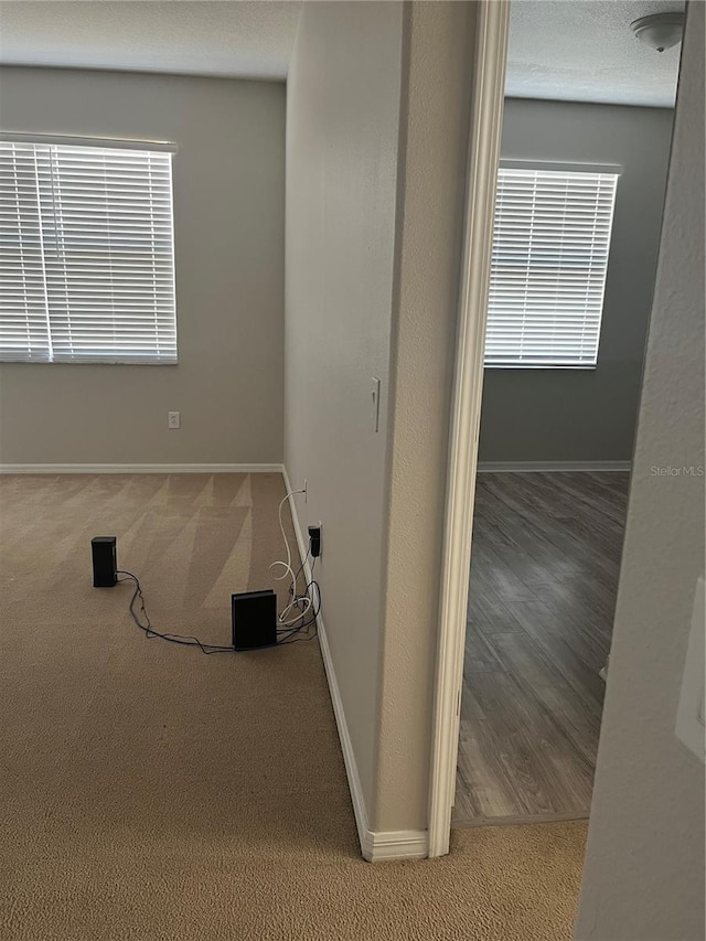 interior space featuring carpet floors and a textured ceiling