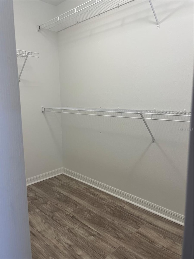 walk in closet featuring dark hardwood / wood-style floors