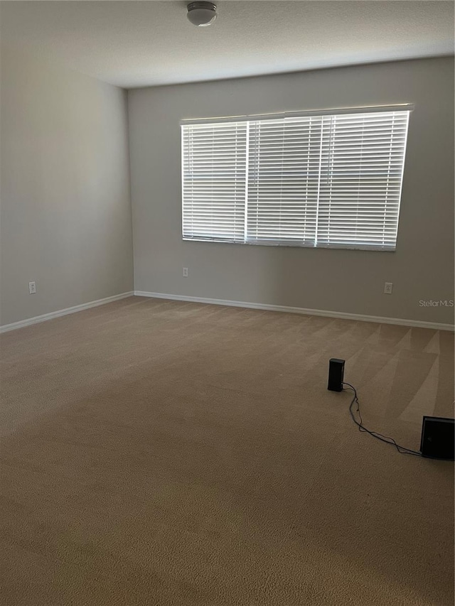 spare room with carpet flooring