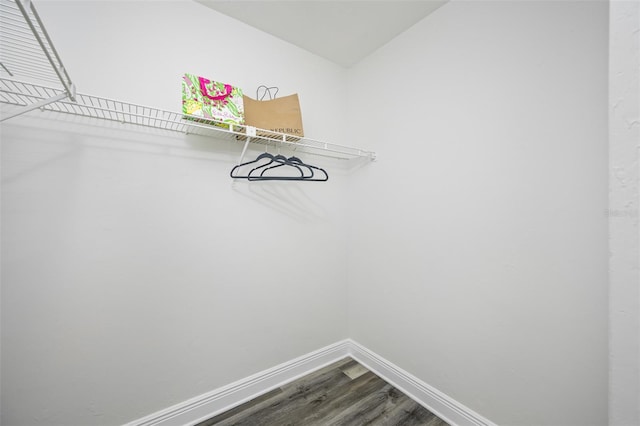 walk in closet featuring hardwood / wood-style flooring