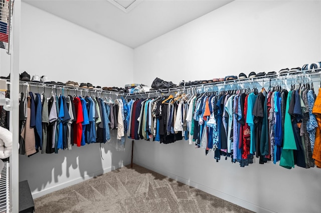 spacious closet with carpet floors