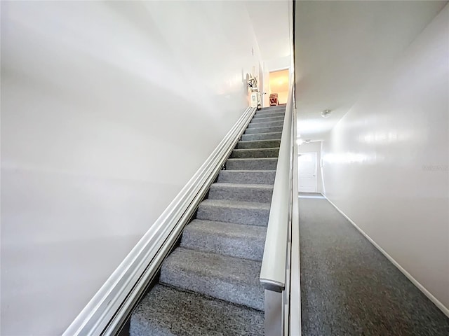 stairs with carpet flooring