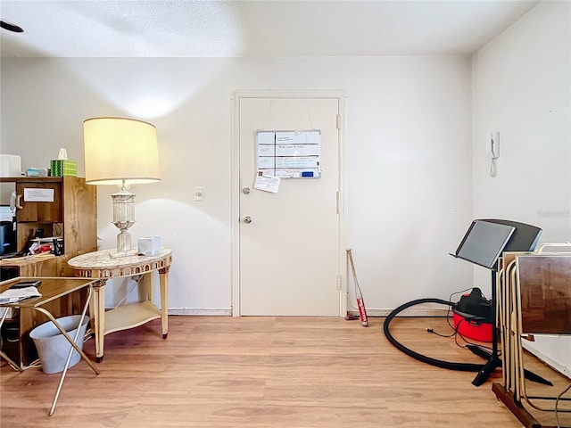 entrance foyer featuring light hardwood / wood-style flooring