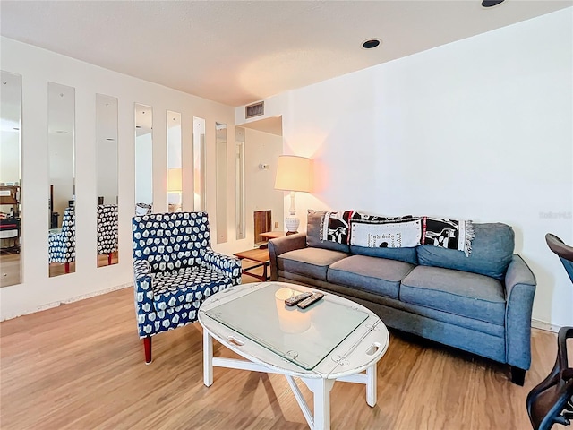 living room featuring wood-type flooring