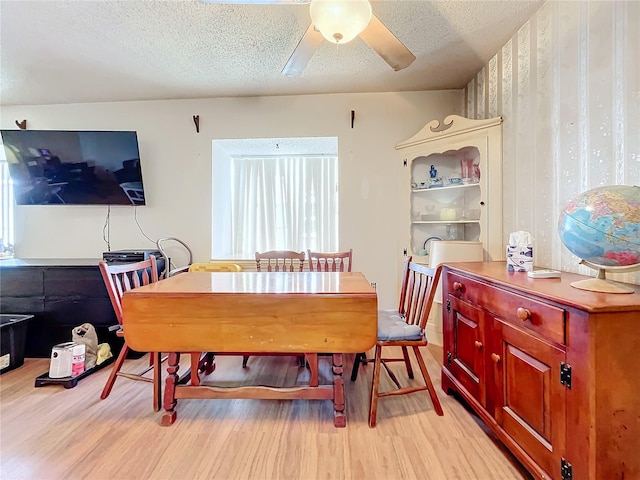 dining space featuring ceiling fan, a textured ceiling, and light hardwood / wood-style flooring