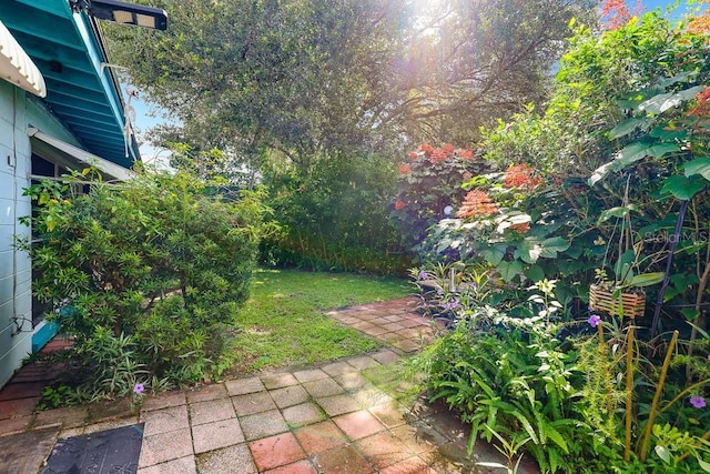 view of yard featuring a patio area