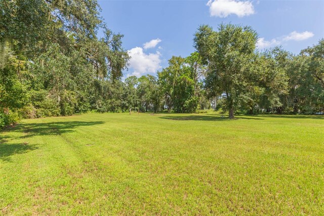 2804 Holloway Rd, Plant City, FL 33567 - photo 44