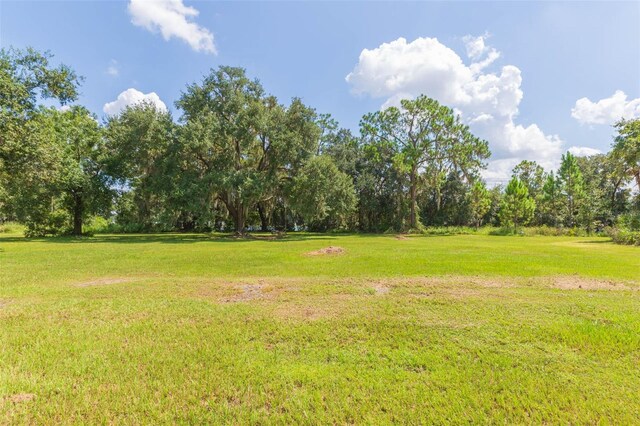2804 Holloway Rd, Plant City, FL 33567 - photo 45