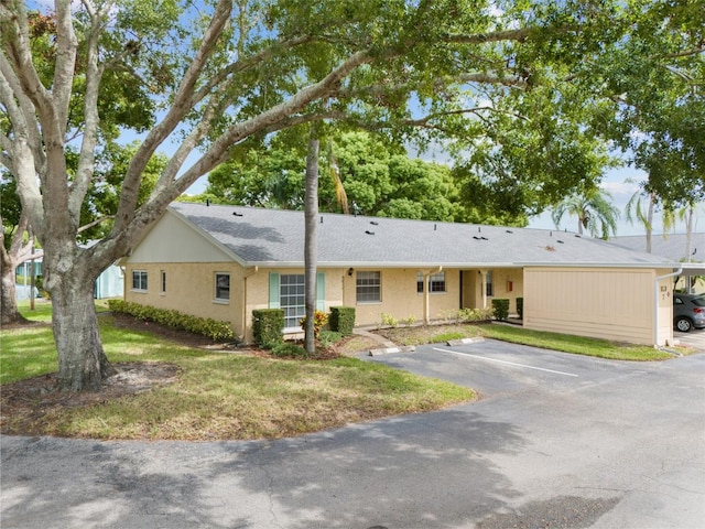 ranch-style house with a front lawn