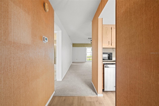 hall with light hardwood / wood-style flooring