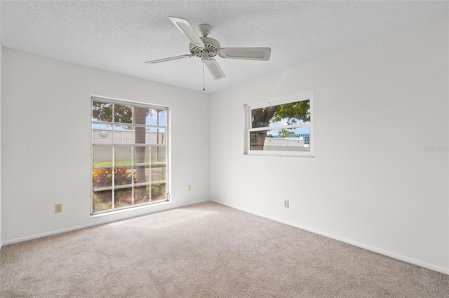 spare room featuring ceiling fan, carpet, and a textured ceiling