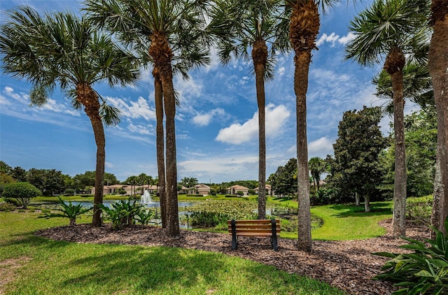 exterior space with a yard and a water view