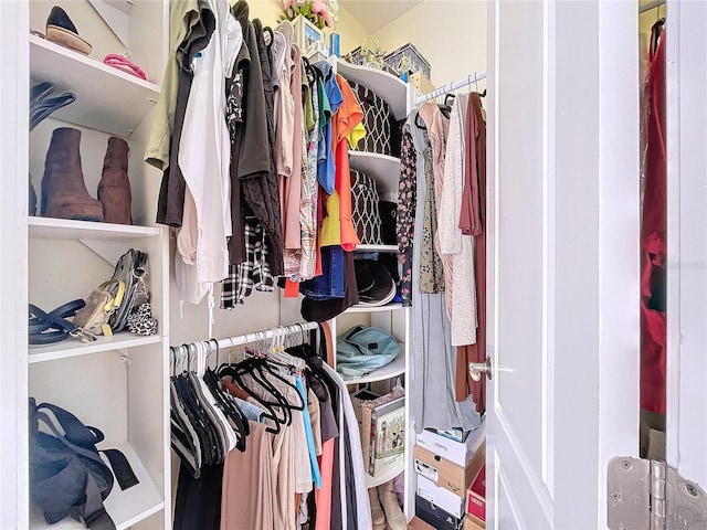 view of spacious closet