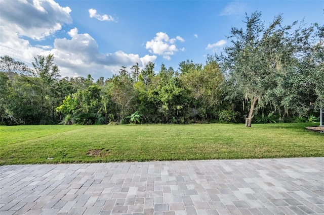 view of yard with a patio area