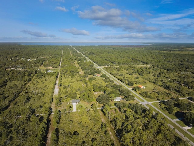 aerial view with a view of trees