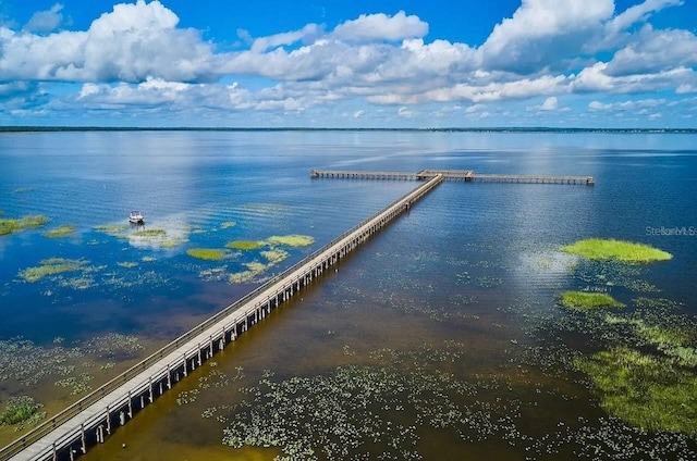 dock area with a pier and a water view