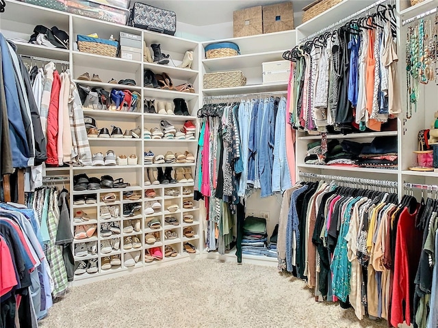 spacious closet with carpet floors