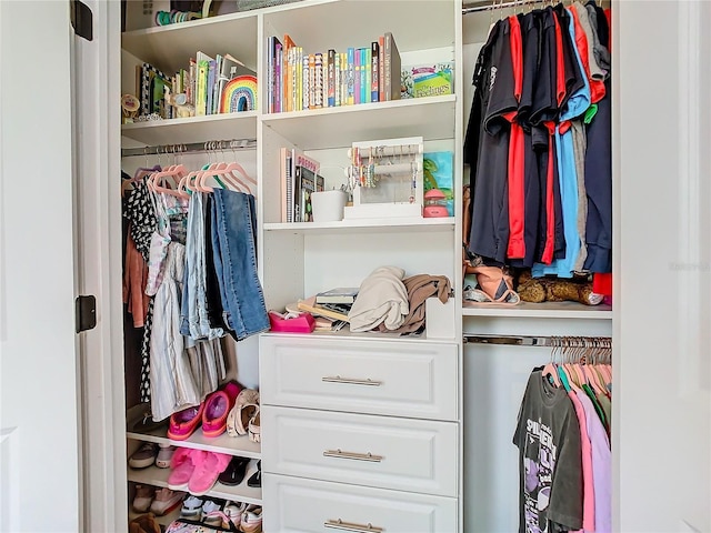 view of closet