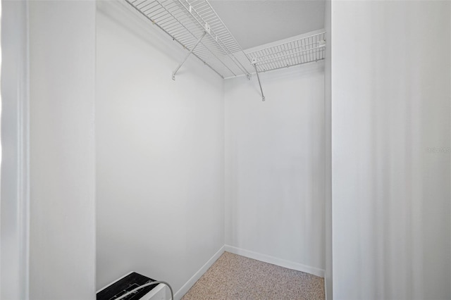walk in closet featuring carpet floors